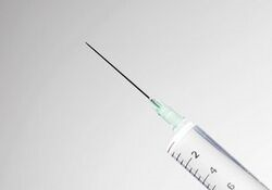 【正规供卵试管机构】供卵孕妇的生理结构与解剖之美，深入探索的视角